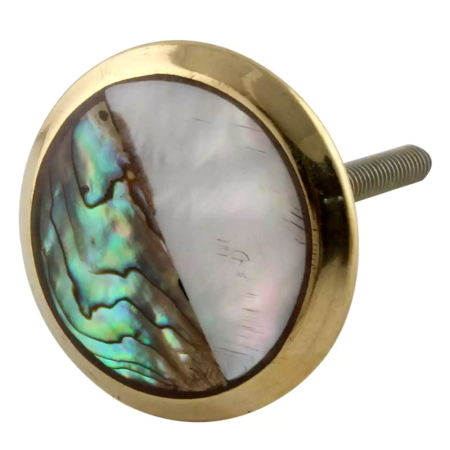 Stephen Brass Shell Cabinet Knobs